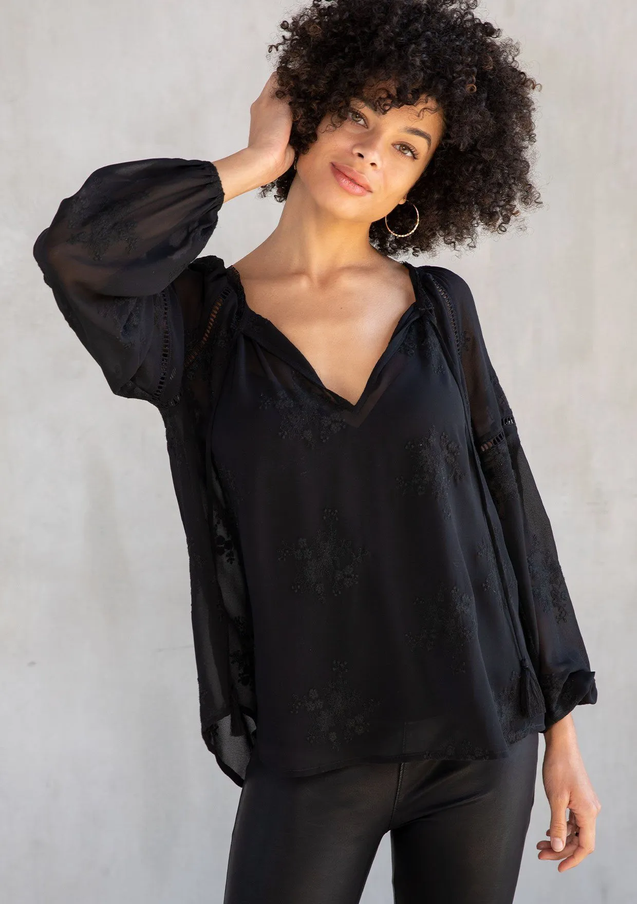 Cameron Embroidered Chiffon Blouse