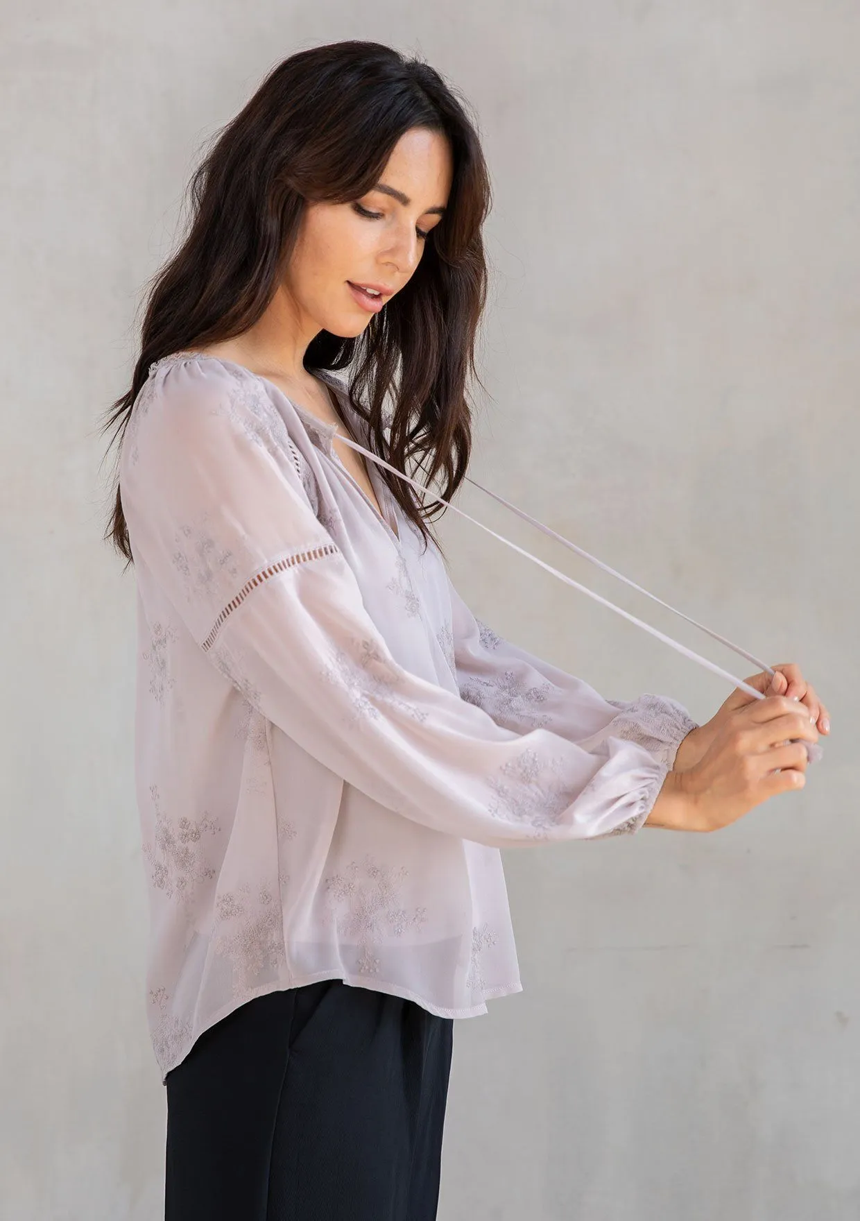 Cameron Embroidered Chiffon Blouse