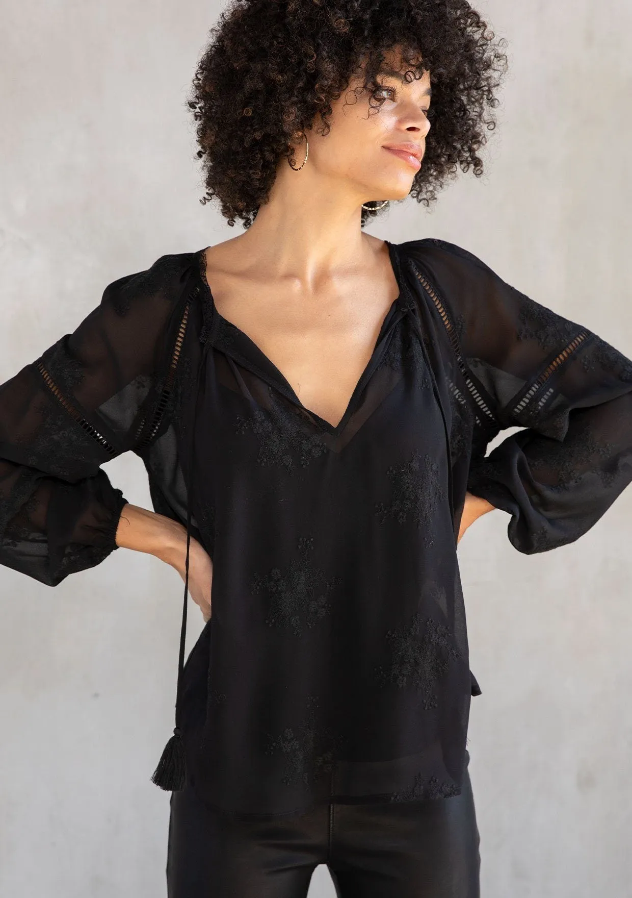 Cameron Embroidered Chiffon Blouse