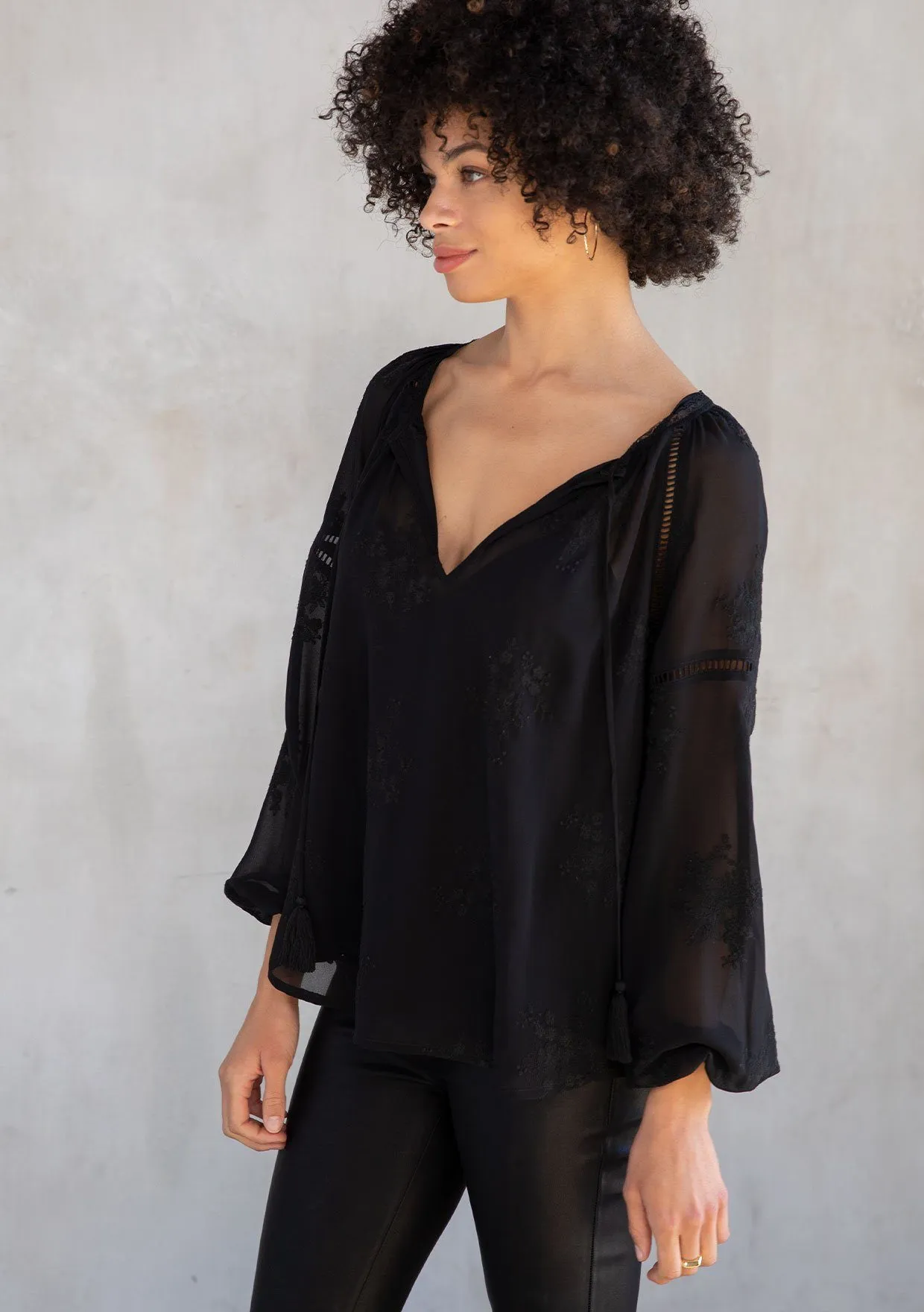 Cameron Embroidered Chiffon Blouse