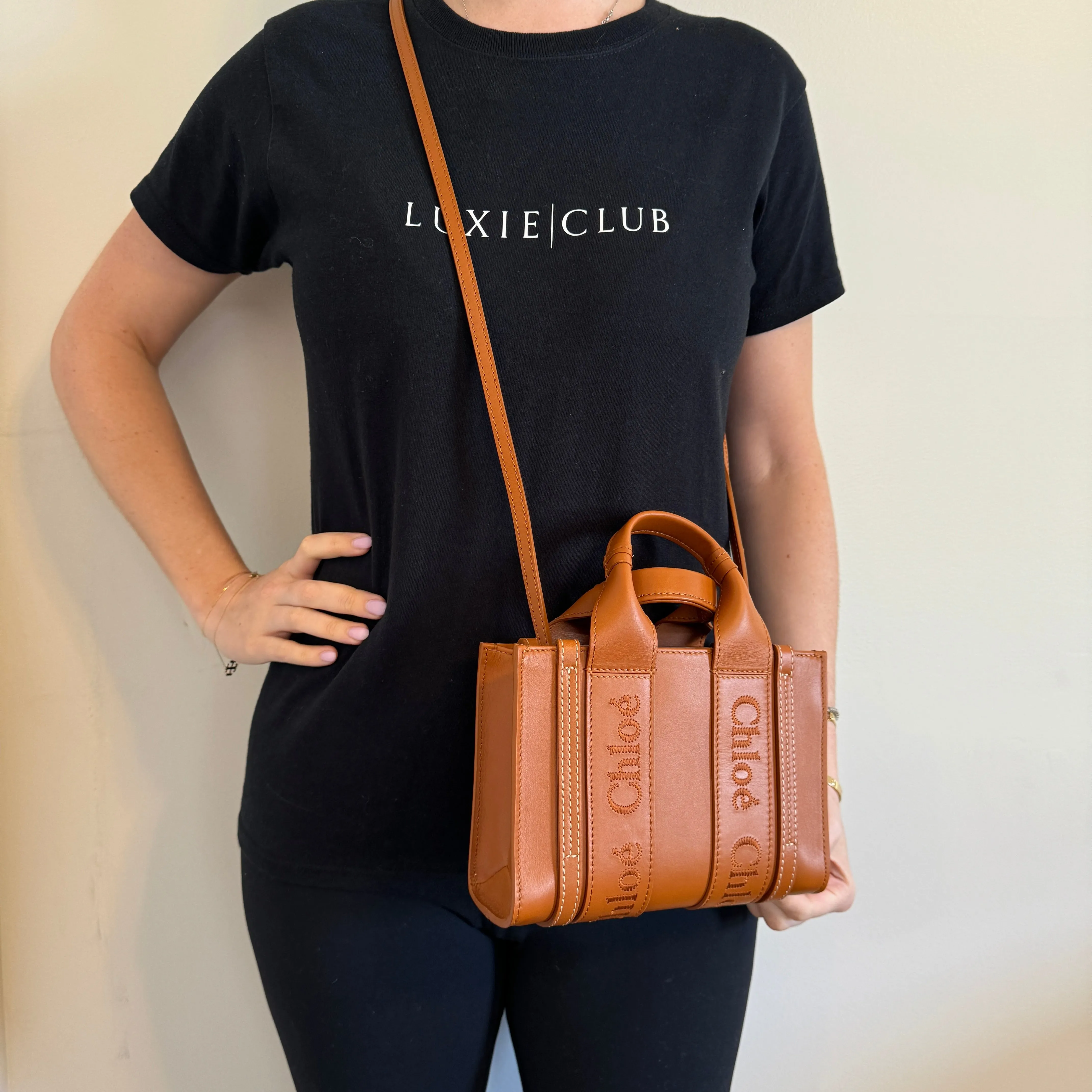 Chloé Woody Mini Tote