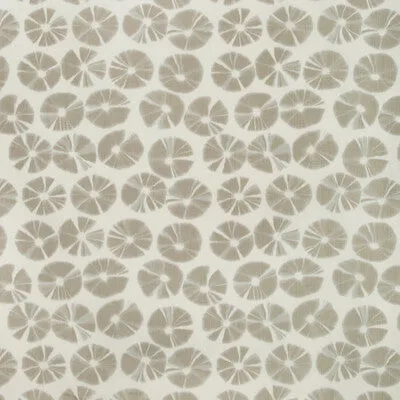 Echino-Fawn