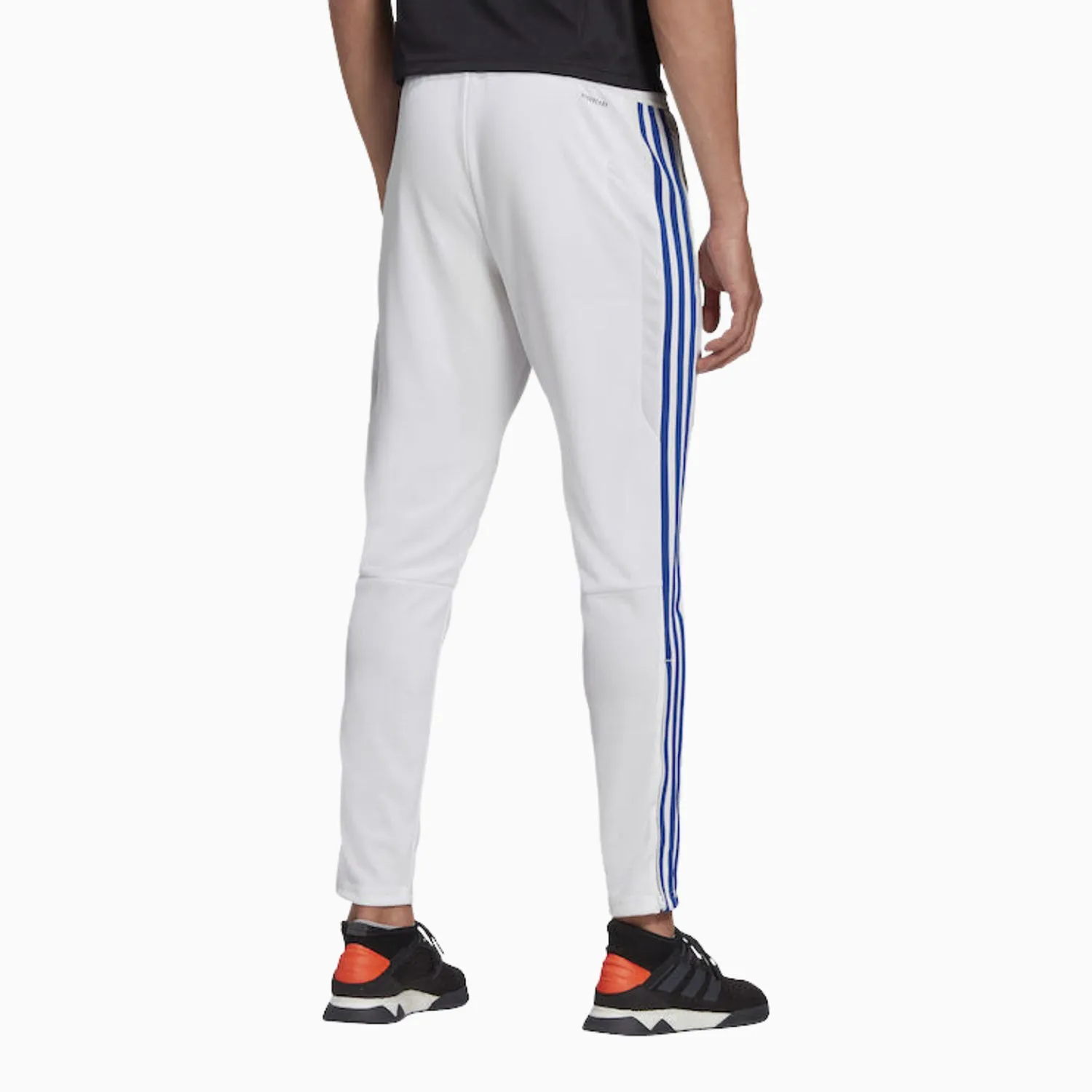 Men's Tiro 19 Training Track Pant