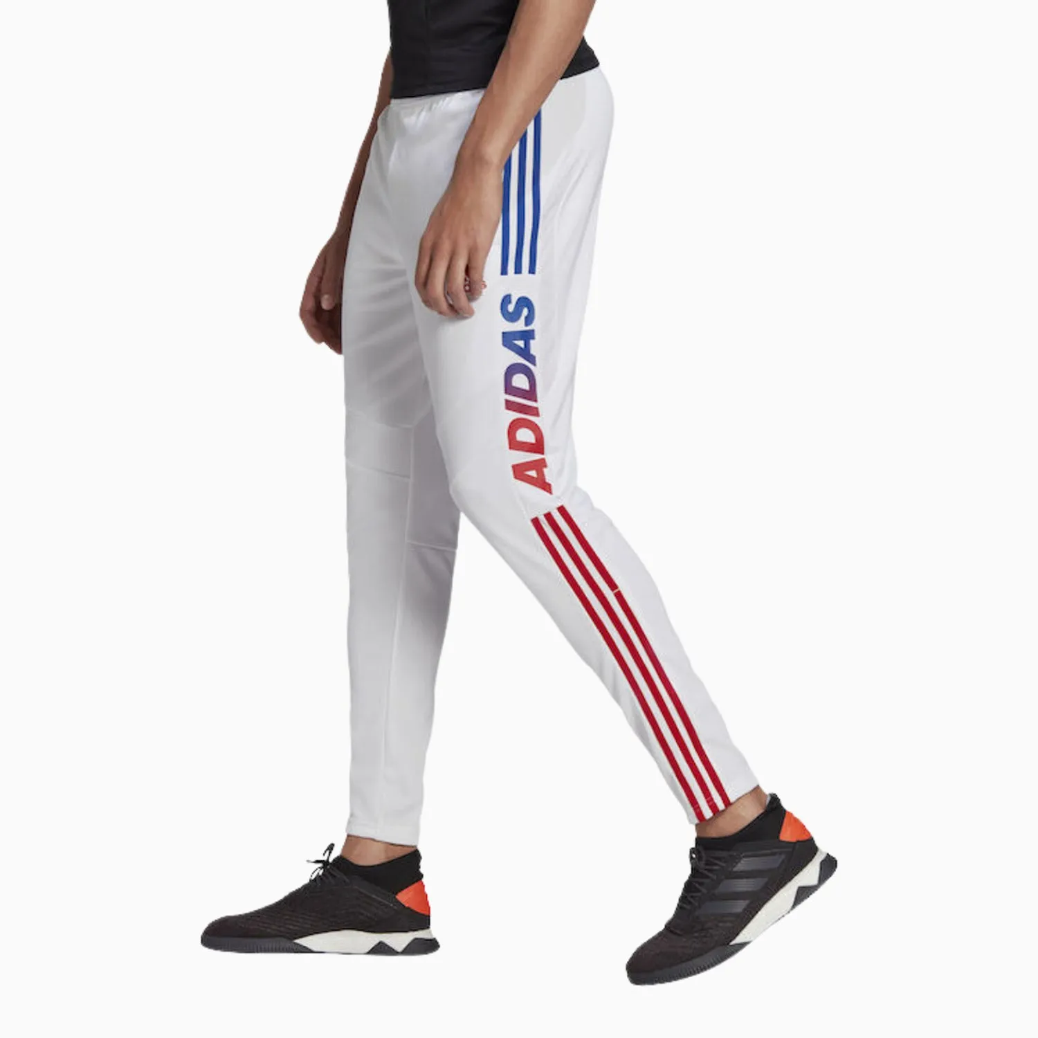 Men's Tiro 19 Training Track Pant