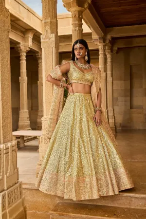 Pear Green Gota Patti Lehenga Set